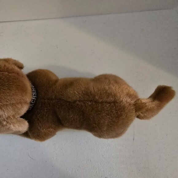 Dachshund Puppy Plush- Dog lovers - 10 inches - Picture 8 of 8